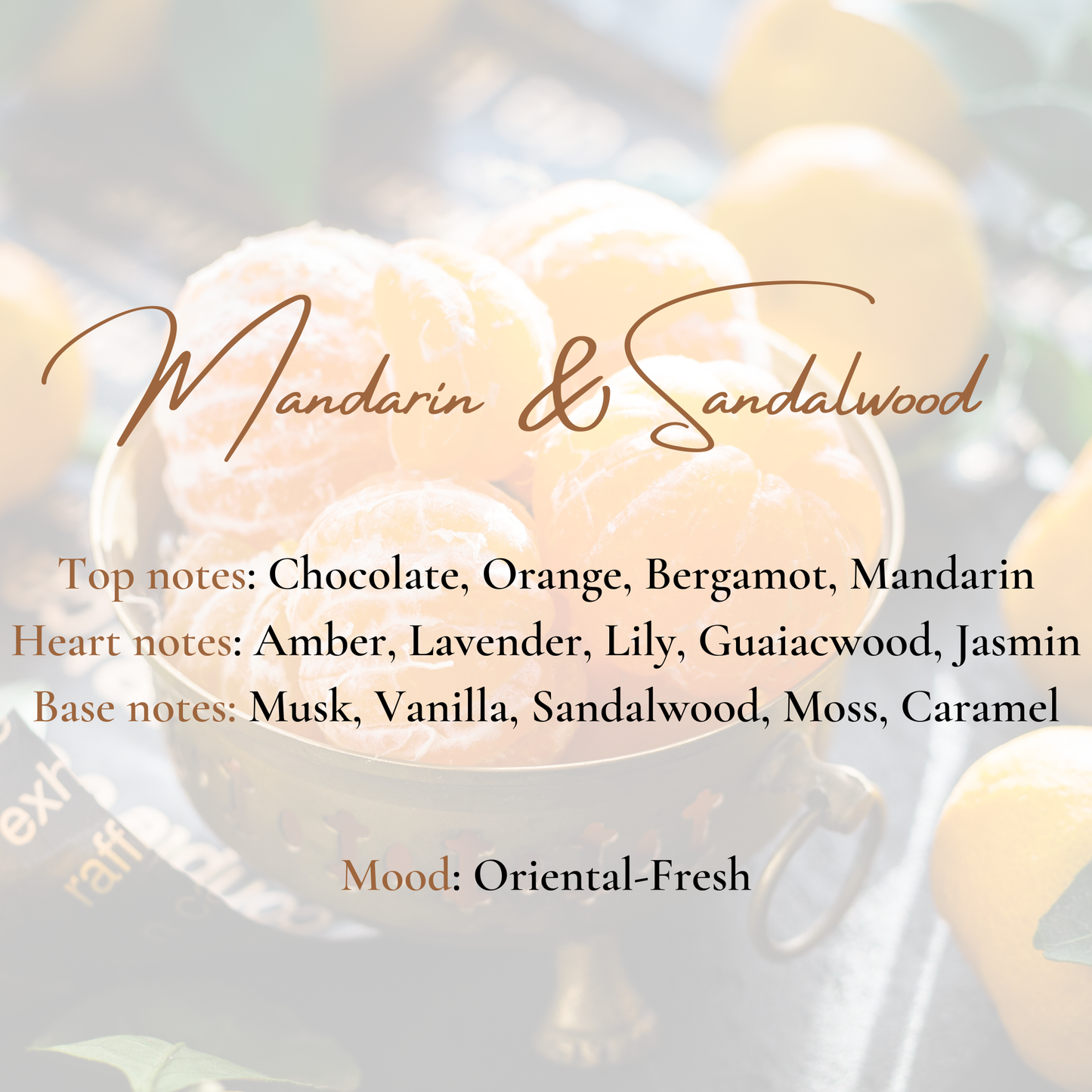 Wild Instinct Collection-Mandarin & Sandalwood Scented Candle
