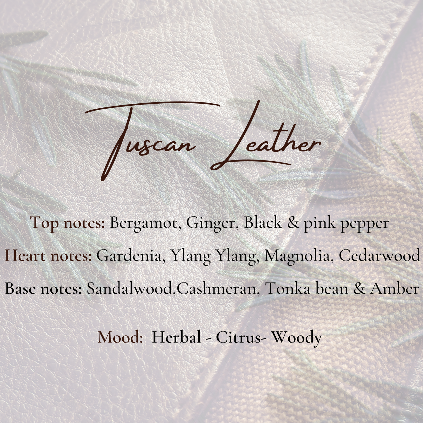 Wild Instinct Collection -Tuscan Leather Scented Candle