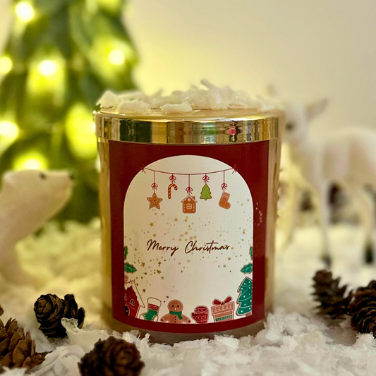 Winter Glow collection-Cinnamon & Apple Scented candle
