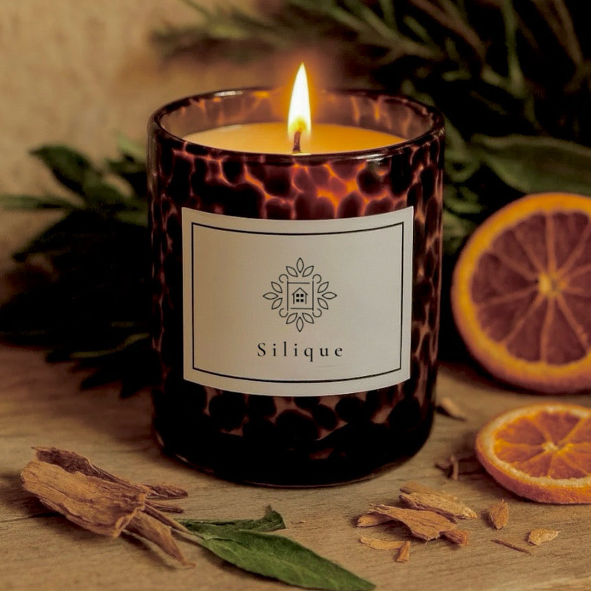 Wild Instinct Collection-Mandarin & Sandalwood Scented Candle